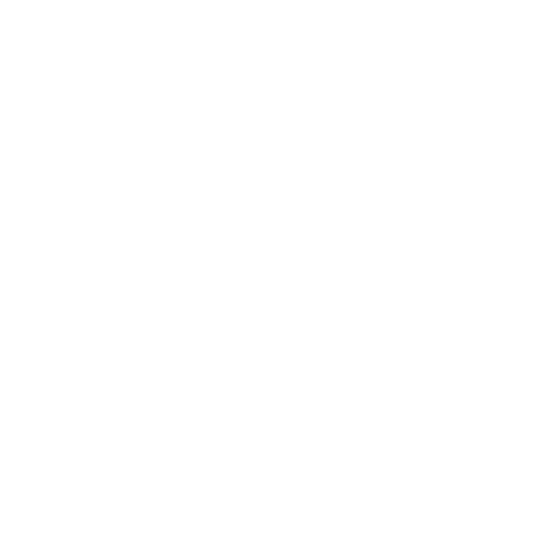 Team Envy logo