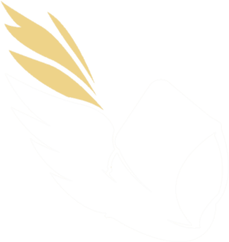 99DIVINE logo