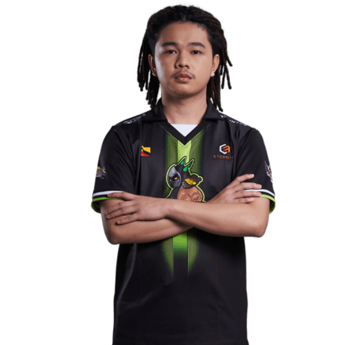 XBOCT photo