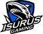 ISG logo