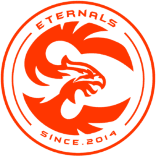 Ethernis logo