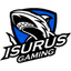 ISG logo